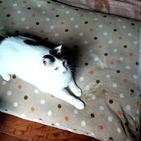 連れていかれましたの画像