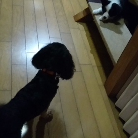 ダイエットの画像