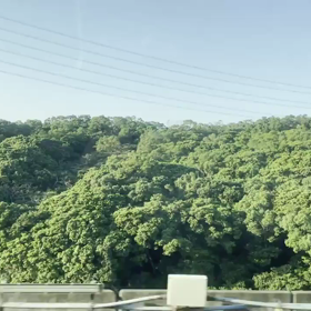 台湾旅行　第一日、到着！　10月25日の画像