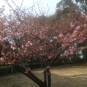 あなたはあなたのままでいいの画像