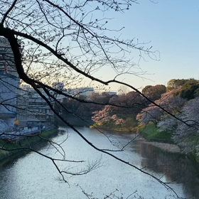 また、就職難？の画像