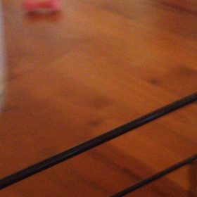 てなづけたんじゃん？wの画像