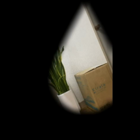 買ってしまった…の画像