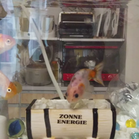 最近のトイレでのやり取りの画像