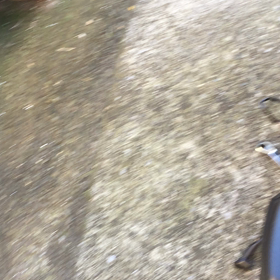 PCX  異音無し（≧∇≦）の画像