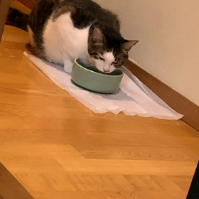 いろんな方法がありますの画像