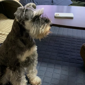 残念。。。落ちてこないの画像