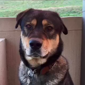 テリー部長からのメッセージの画像