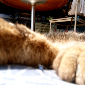 レ,ミゼラブルの画像