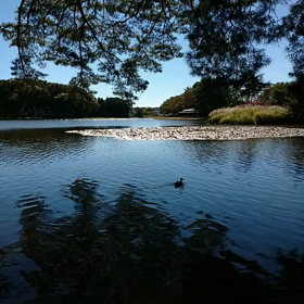 住めばみやこの画像