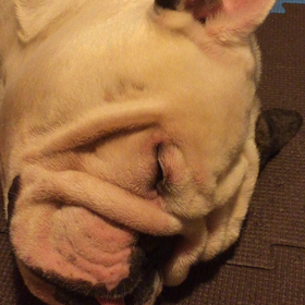 おやすみなさいの画像