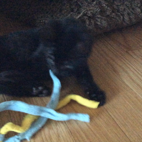 撮れへんの画像