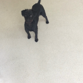 ♪プレイルーム動画♪の画像