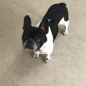 ♪プレイルーム動画♪の画像