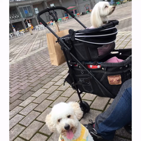 シルバーウィーク後半戦。の画像