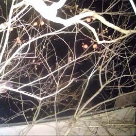 すぎぴたんの事件簿シーズン3　128話の画像