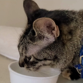 熱中症対策の画像