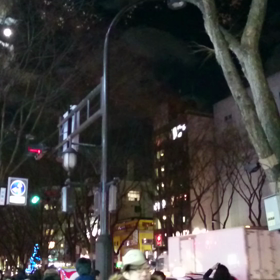 ＊光のページェント＊の画像