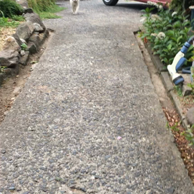 安心してたら…の画像