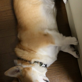 またこのシーズンです…の画像