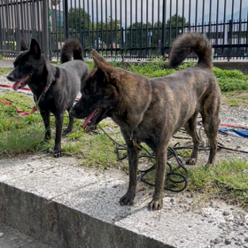 彩匁ねえさん、はしゃぐ！の画像