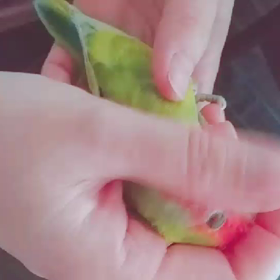 (≧∇≦)の画像