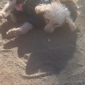 続き(๑˃̵ᴗ˂̵)の画像