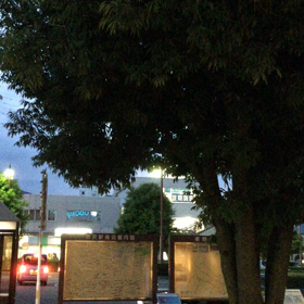 駅前の鳥がの画像