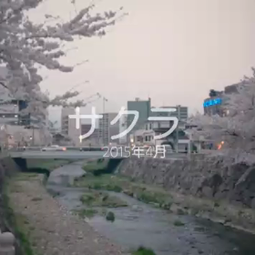 花見(動画付)の画像