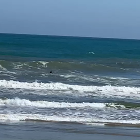 最近のお気に入りの画像