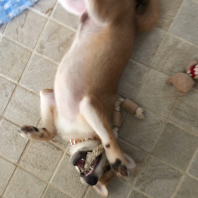 あられもない格好の画像