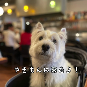 やきもんに来たよの画像