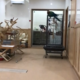 フリーフライトの画像