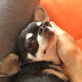 たまらんね❤️の画像