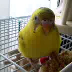 はらへったの画像