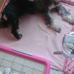 安静…!?の画像