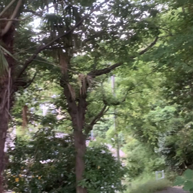 仕事再開にむけて…　またもや心と向き合うの画像