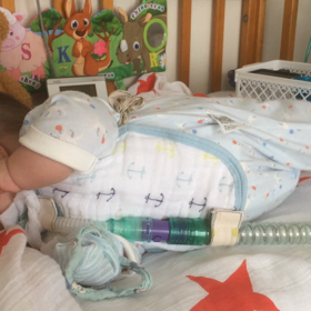 静かだな〜の画像