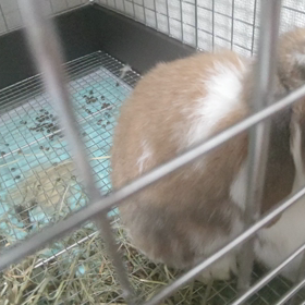 茶太郎。の画像