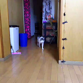 喋るんです。の画像