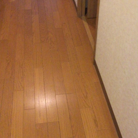 猛獣注意(ネコだけど)の画像