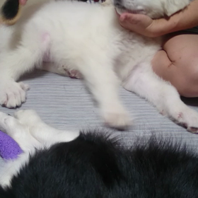 お利口さん？の画像