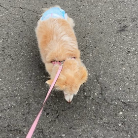 今日のリハビリ＆車椅子出来上がったんだけど…の画像