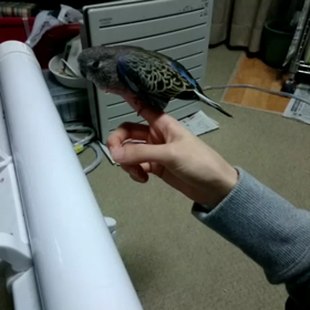 寒過ぎる(>_<)の画像