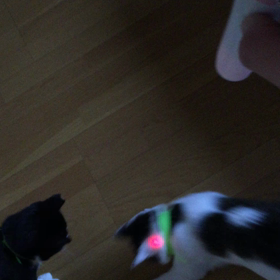 ぶしくんのスタミナの画像