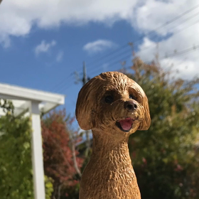 今日のワンコ…ニャンコもいますが動画バージョンの画像