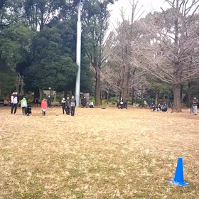 ダッシュ(ピンクチーム)②の画像