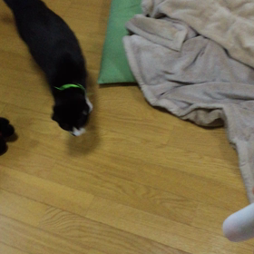 ヤツが！！の画像