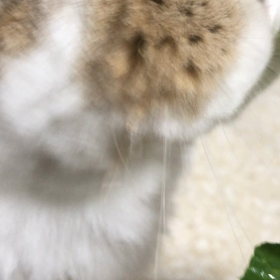 ここなり！の画像