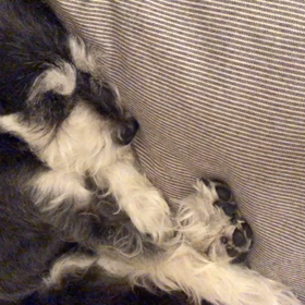 おやすみなさいの画像